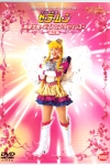 Mugen Gakuen ~ Mistress Labyrinth Kaiteiban DVD Cover